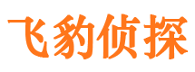 环县外遇出轨调查取证